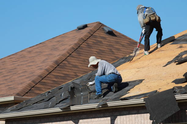 Best Roof Insulation Installation  in Ellport, PA