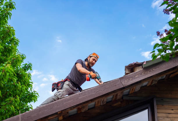 Best Emergency Roof Repair Services  in Ellport, PA